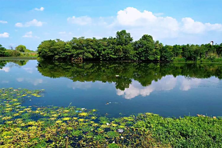 阳澄湖美景